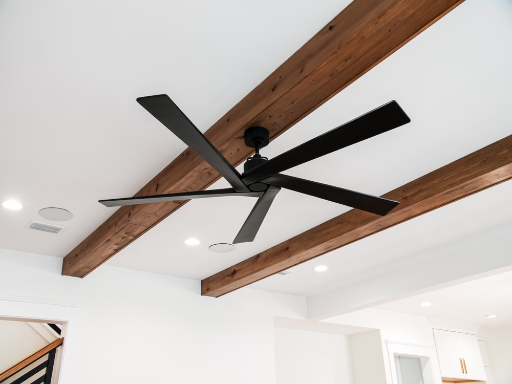 ceiling fan